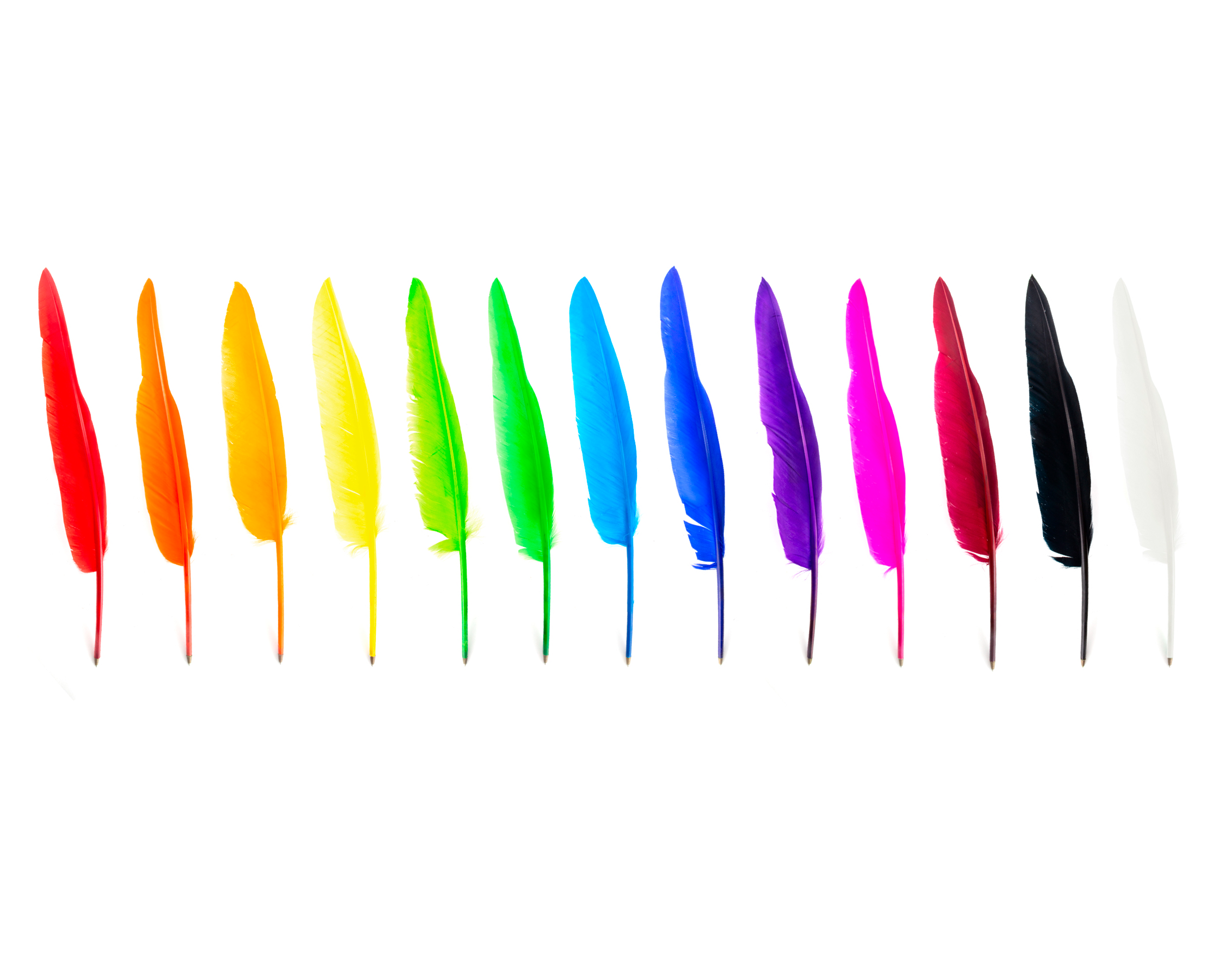 Quill Pens Lanzfeld Editions Museum Merchandise